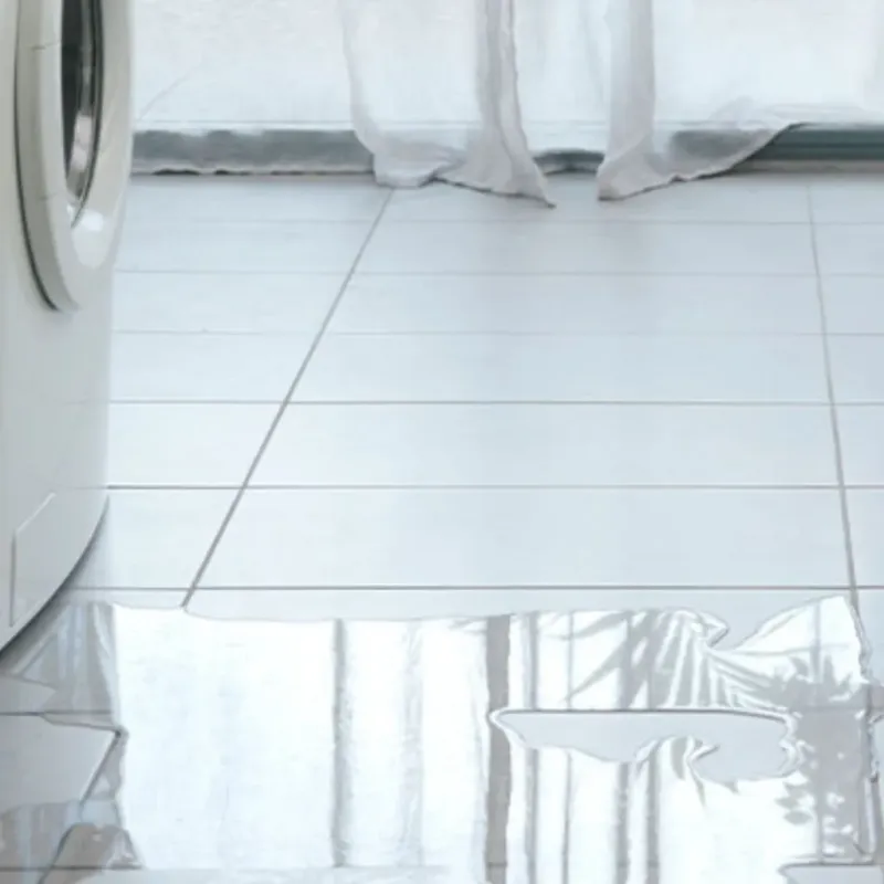 Appliance Leak Cleanup in Potter County, TX