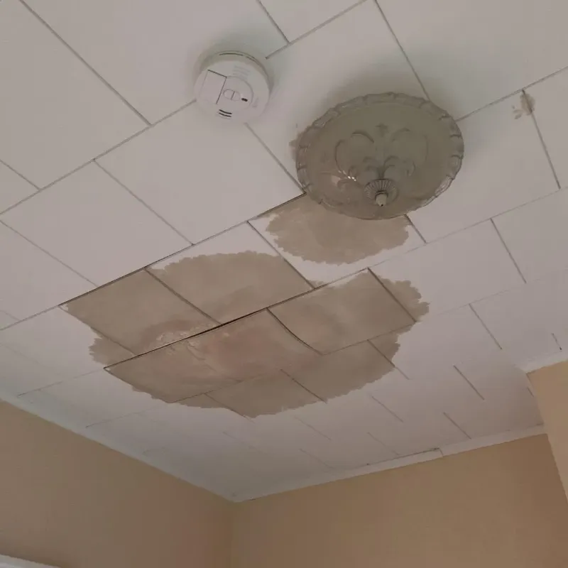 Ceiling Water Damage Repair in Potter County, TX