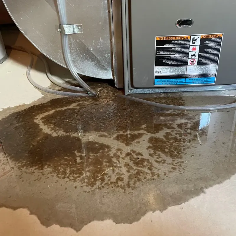 Pipe Burst and Leak Restoration in Potter County, TX