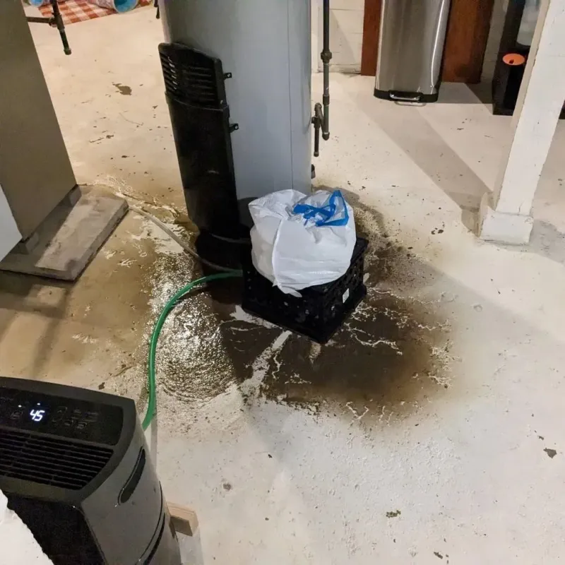 Sewage Backup Cleanup Service in Potter County, TX